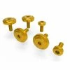 Top 10 🎉 Ducabike Kvt03 Side Cover Screws Kit Gold 😉