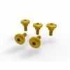 Budget 🔔 Ducabike Kvt11 Side Cover Screws Kit Gold 🎁